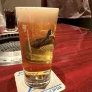 ふに