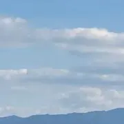 魚の画像