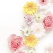 misaki_
