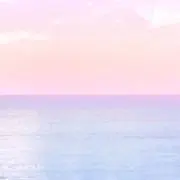 pinoの画像