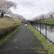 tommyの画像