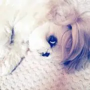 はる