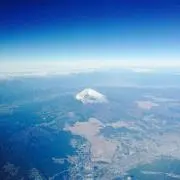 ハンクスの画像