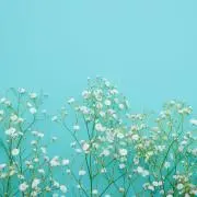 もりの画像