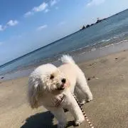 Anbelの画像