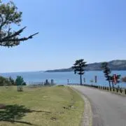 Yochiの画像