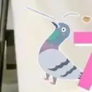 はとの画像