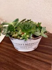 にじのははの画像