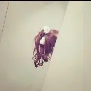 ごっしい