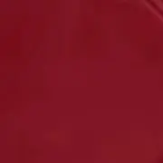 Riの画像