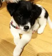 めぇぐぅ