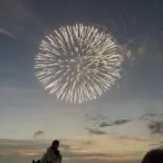 プロ君の画像
