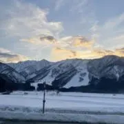 Freezej1134