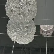 pipiの画像