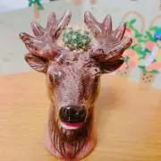 ミル