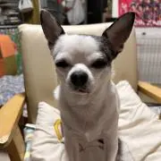 DEPAちゃんの画像
