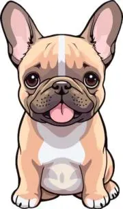 ♡アッチャン♡の画像