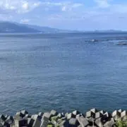 ヤー
