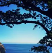 Ryokaの画像