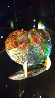 もちもちもちこの画像