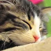 たかひろ