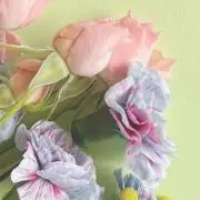 ❇︎あねもね❇︎の画像