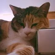 だー