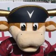ハチワレ..♡⃛
