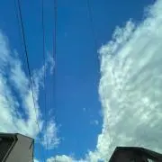 け