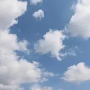 しまき まき