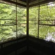ユニコーンの画像