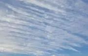 ぐっさんの画像
