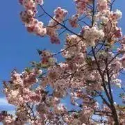 りぃ(プロフ必読)の画像