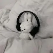 みちちの画像