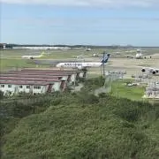 もずくの画像