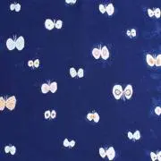 Chiicoの画像