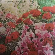 そら   プロフ観てねの画像