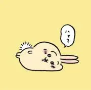 きなこの画像