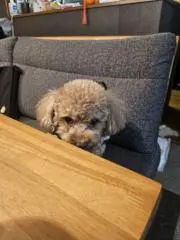 もここ