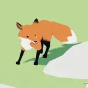 Coo.の画像