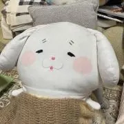 いくちゃんの画像