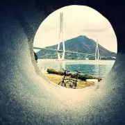 SEIの画像