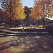 育成部長の画像