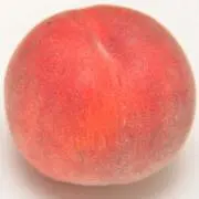 ももの画像