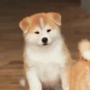 天然水の画像