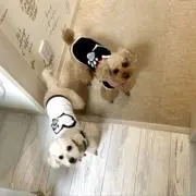 junの画像