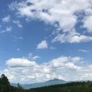 menagu
