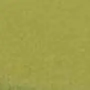 TRGの画像