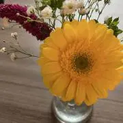 わっこ【単品での値引きはしません】の画像