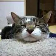 chaneloveの画像